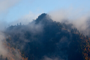 Morning mist of a cloud in the mountains