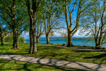 Mettnau Park am Bodensee im Sommer mit Sonne 