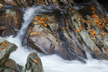 Cascading stream outdoors with rocks