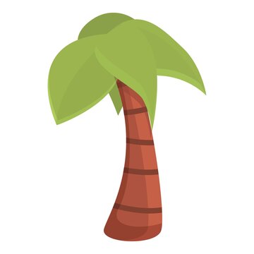 Safari palm icon. Cartoon of Safari palm vector icon for web design isolated on white background