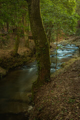 Obraz premium Water stream of Lourido river