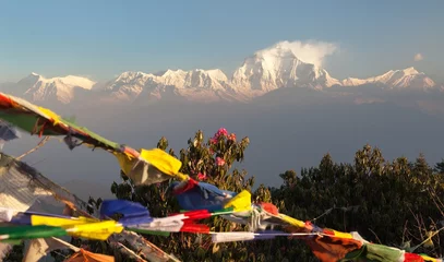 Crédence de cuisine en verre imprimé Dhaulagiri mount Dhaulagiri with prayer flags and rhododendrons