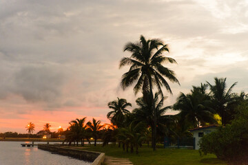 Fototapeta na wymiar Sunset beach with white sand and tall palms Cuba