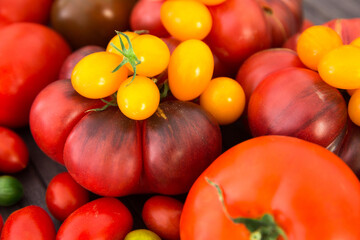 different varieties of ripe red and yellow appetizing tomatoes