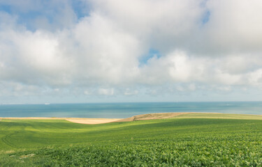 Fototapeta na wymiar paysage du Pas-de-Calais et de la Côte d'Opale près d'Escalles en été le long de la Manche