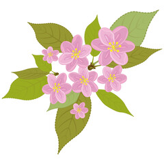A floral wreath of pink flowers with leaves. Realistic hand-drawn. Cherry blossoms