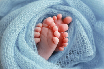 Two cute tiny baby feet wrapped in a blue-green aqua knitted blanket