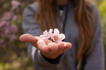 Paisaje con bonitos colores