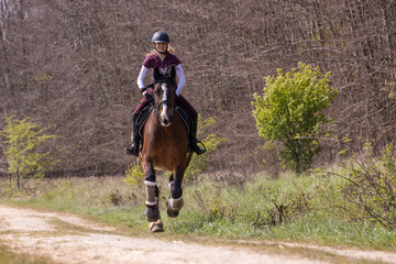 Reiterin und Pferd im  Gelände