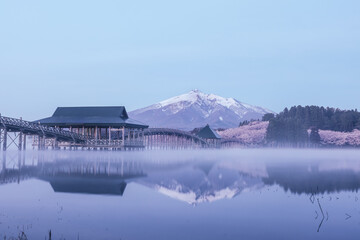 Obraz premium 桜と鶴の舞橋と岩木山朝靄 