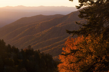 Sunrise in the Autumn mountains