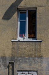 Biały kot siedzący na parapecie okna	
