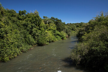Tropical rainforest landscape. View of the Iguazu river flowing across the jungle. Beautiful green and lush vegetation. 