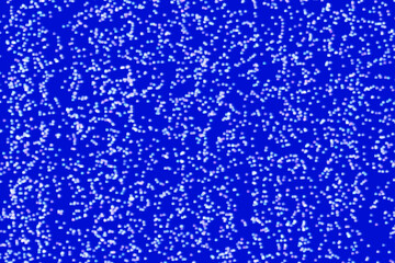 Fototapeta premium Confetti party christmas party background blue colorful birthday glitter pattern invitation