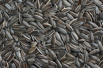 Sunflower seeds. For texture or background