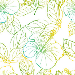 Hibiscus flower seamless pattern. Hand drawn sketch style. Line art. Mallow Chinese Rose. Herbal tea. Hawaii. Colourful Tropical Vector background for paper, textile, wrapping and wallpaper.