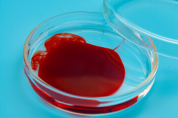 Biological sample, microbiology and scientific experiment concept with red dye splatter stain in a glass petri dish isolated on blue background