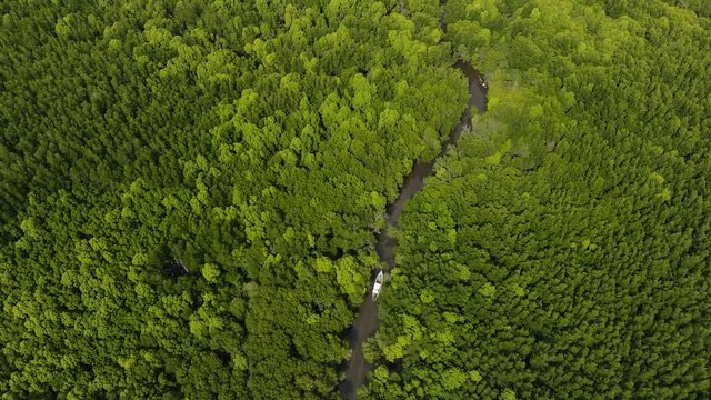 Aerial view from drone footage above mangroove forest in Krabi , Thailand
