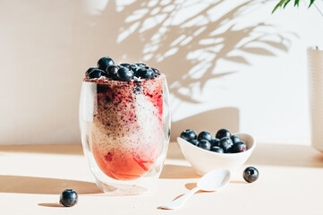 Healthy chia pudding in a glass with fresh blueberries