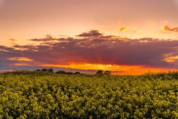 Sunset © piotr