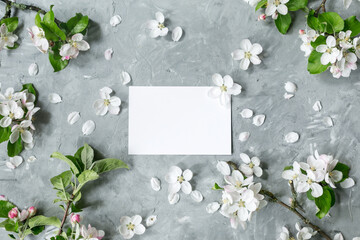 Flowers composition. Apple tree flowers on pastel gray background. Spring concept. Flat lay, top view, copy space.