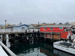 boats in the harbor