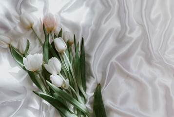 Flat lay fresh white tulips on silk background, womans Day, spring flowers concept