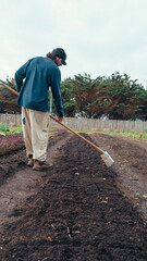 young farmer raking soil, preparing garden, vegetable garden, real person land worker