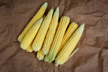 Freshly harvested corn. Corn after harvest. Peeled corn on a cob on brown paper. Background of corn on the cob.