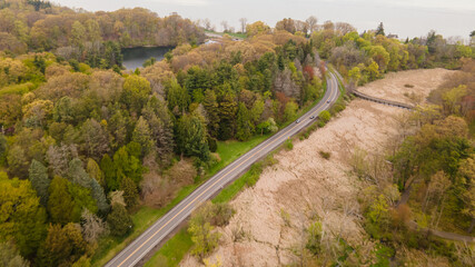  Aerial View of an Autumn Forest with a Winding Road Through Colorful Foliage