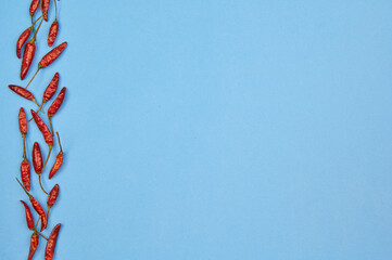 chili peppers isolated on blue background. Hot peppers, for your design