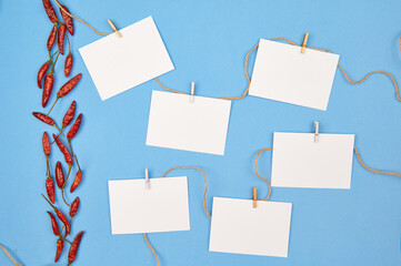 chili pepper on a blue background. With a place to insert text, pictures