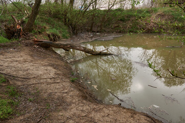 rubbish, waste and broken trees by the river
