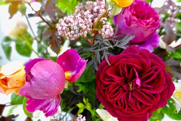 Obraz na płótnie Canvas rose flowers in garden
