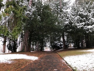 alley in the park