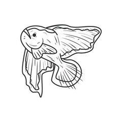 beautiful sea fish