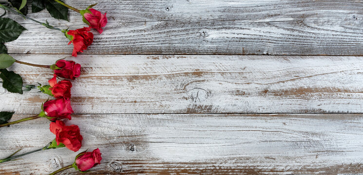 Circle of real red flowers on left side of rustic wooden boards for mothers day or valentines holiday