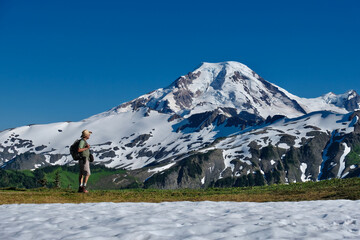 Man hiker by snow capped volcano. Mount Baker National forest. North Cascades. Washington State. USA