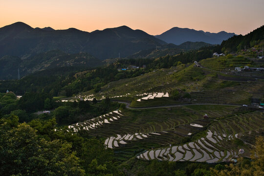 198 Best 丸山千枚田 Images Stock Photos Vectors Adobe Stock