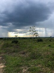 Pasto de uma fazenda localizada no Pará, com a chuva prestes a cair e algumas rajadas de sol no meio do campo