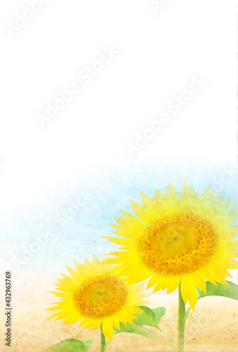 ひまわり 海 風景 暑中見舞い Wall Mural Wallpaper Murals J Boy