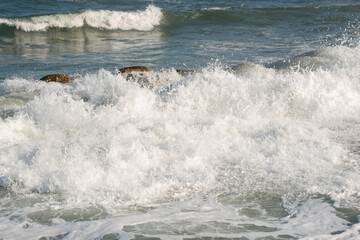 Wave crashes against the rocks of a coast
