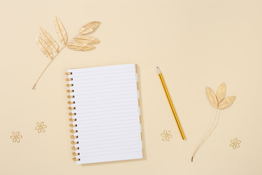 View of desk with open school notebook and pencils with natural autumn leaves. Autumnal education concept