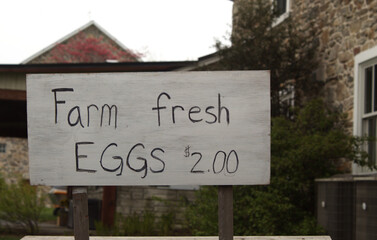 Amish farmer's "farm fresh eggs" sign in front of shrubs and stone buildings