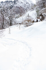 beautiful snowy path with footprints in winter