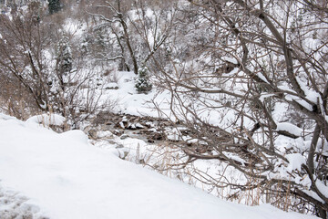 Fototapeta premium mountain river in the snow in the mountains