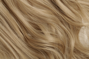 closeup texture of single piece clip in wavy honey blonde synthetic hair extensions - obrazy, fototapety, plakaty