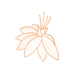 orange flower icon