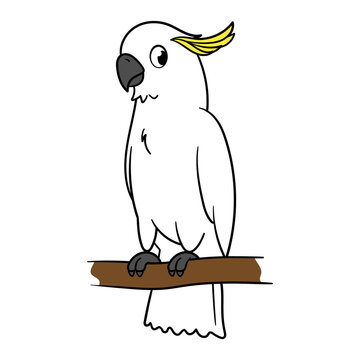 recommend clip art: Isolated Cartoon Cockatoo Vector Illustration