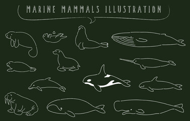 手描き風の海洋哺乳類のイラストセット - obrazy, fototapety, plakaty